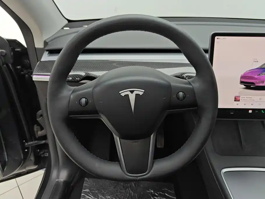 Tesla Model Y — миниатюра 15