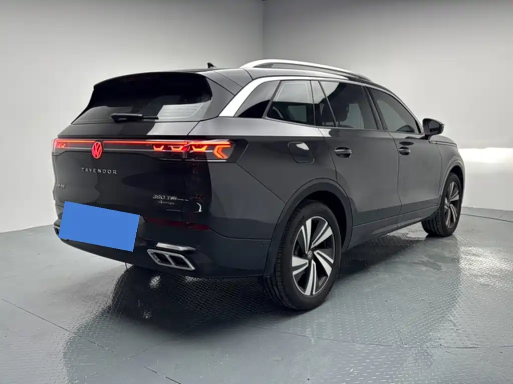 Volkswagen Tavendor — миниатюра 6