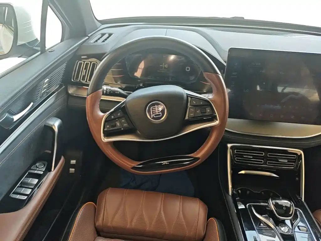 BYD Tang New Energy — миниатюра 11