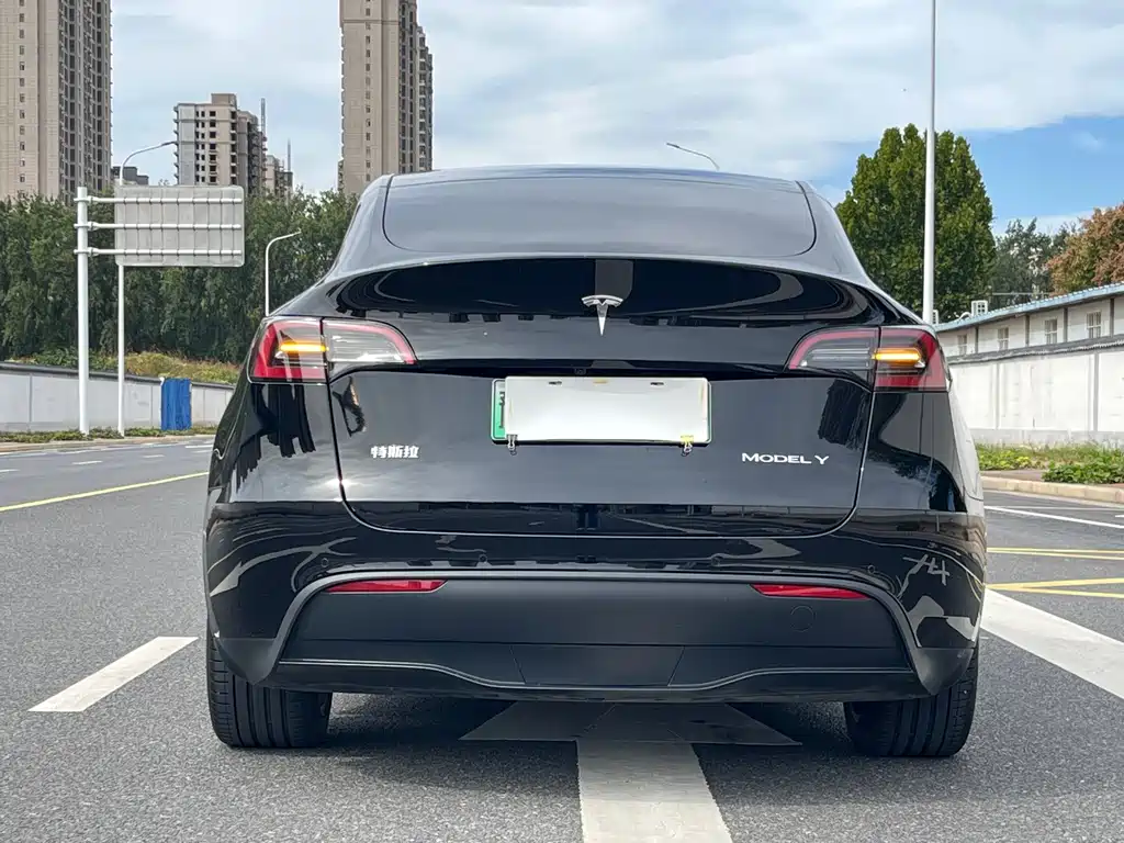 Tesla Model Y — миниатюра 5
