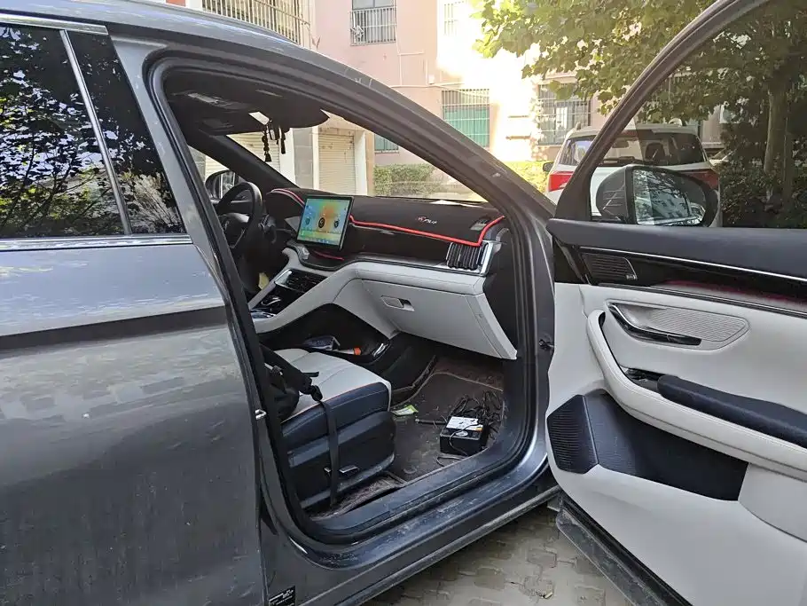 BYD PLUS New Energy — миниатюра 8
