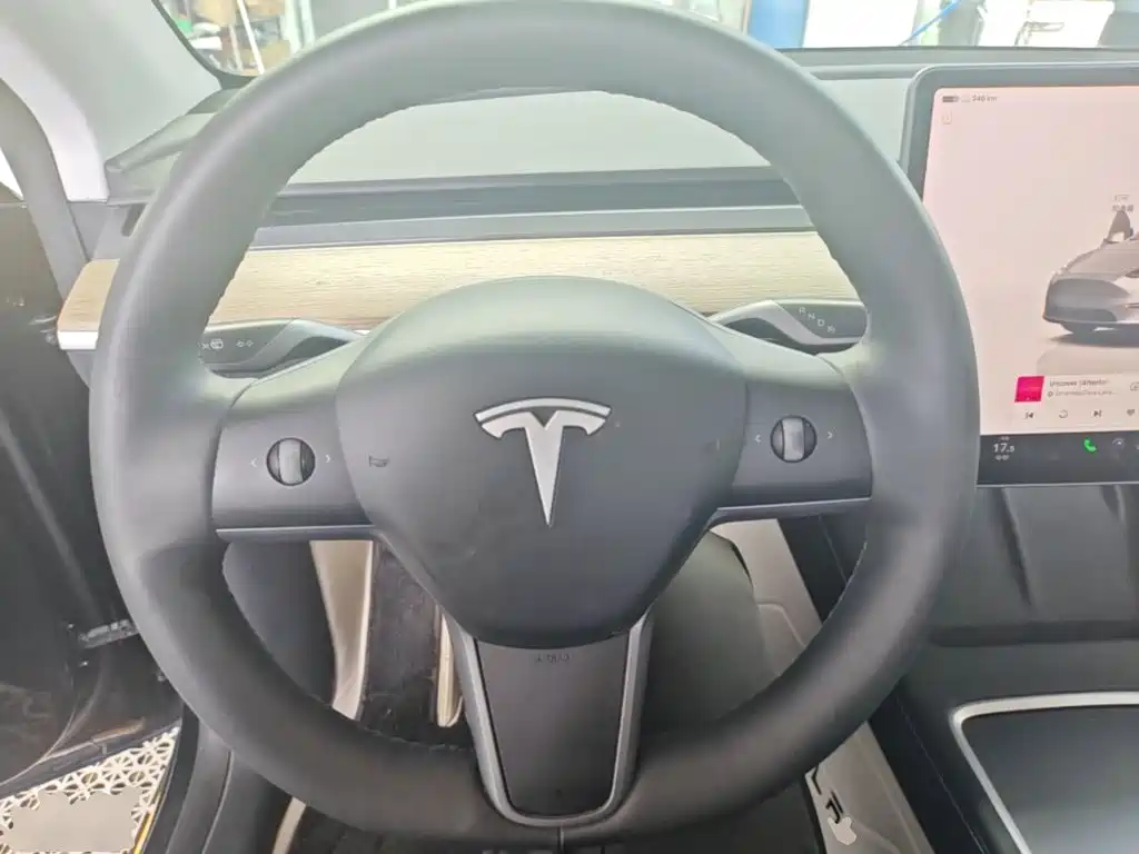 Tesla Model Y — миниатюра 11