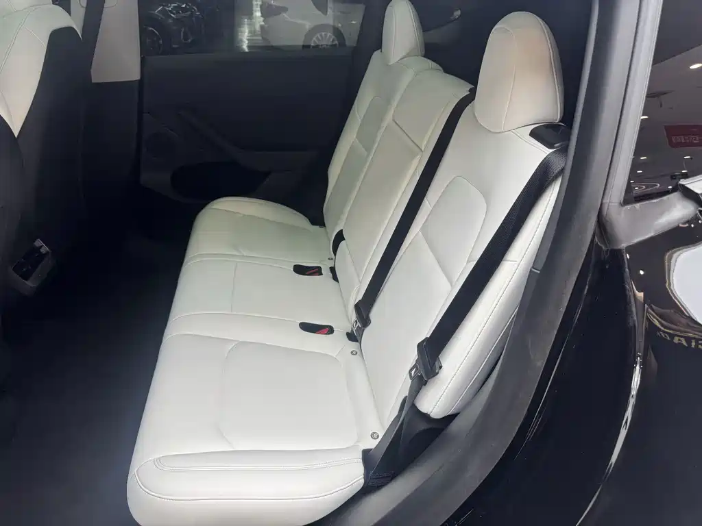 Tesla Model Y — миниатюра 16