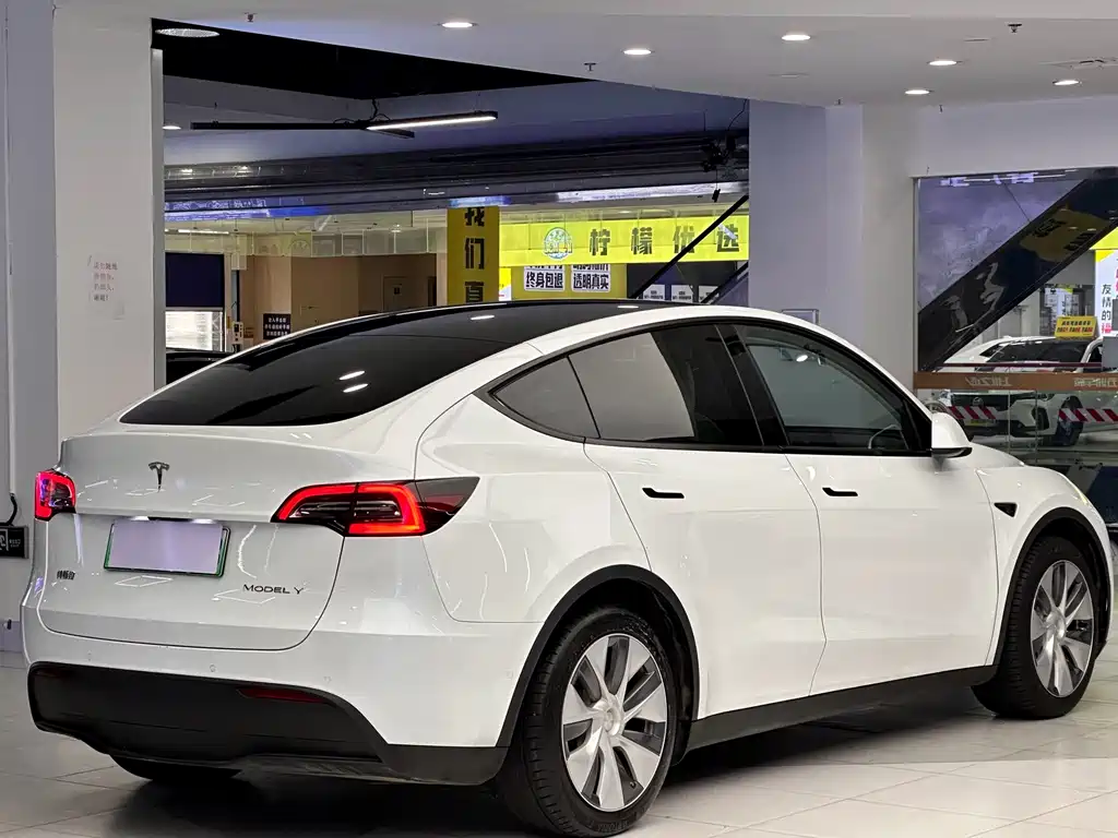 Tesla Model Y — миниатюра 3