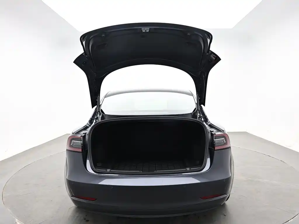Tesla Model 3 — миниатюра 10
