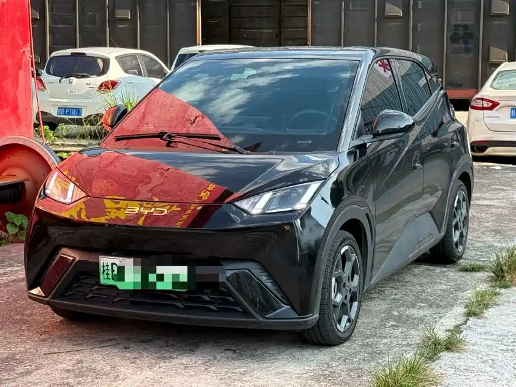 BYD Seagull
