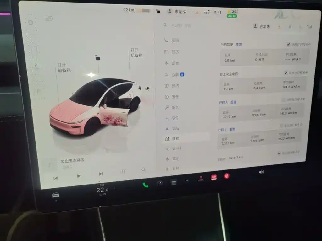 Tesla Model Y — миниатюра 13