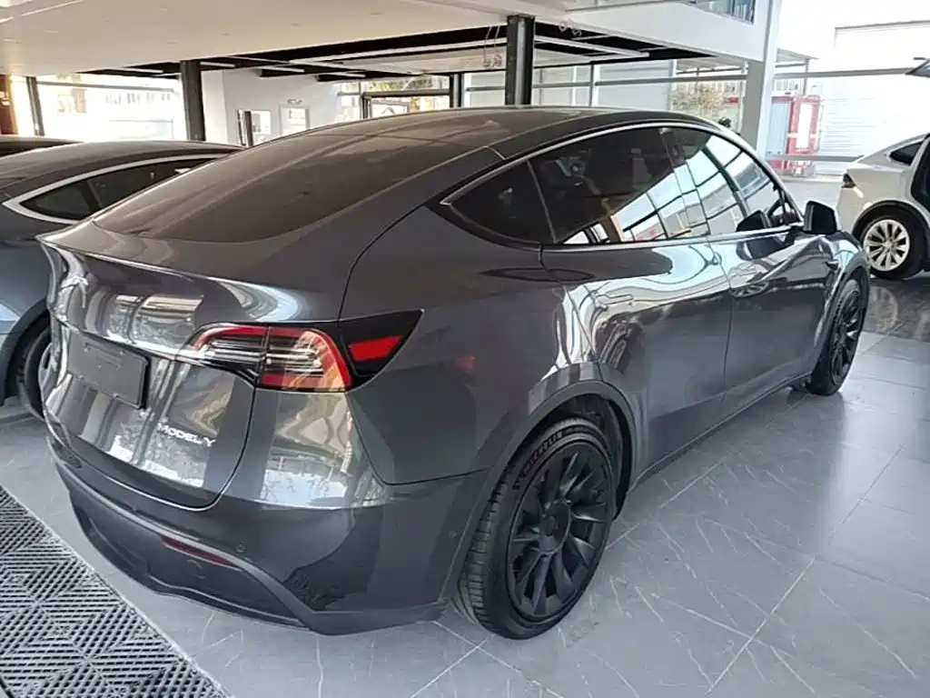 Tesla Model Y — миниатюра 7