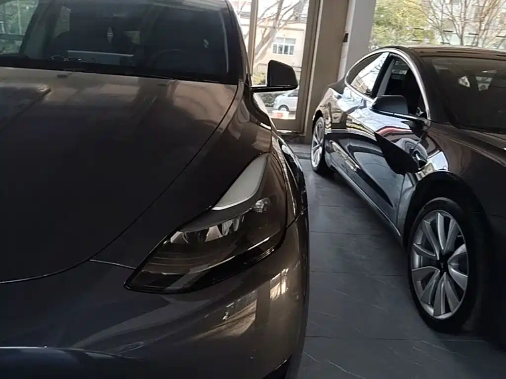 Tesla Model Y — миниатюра 24