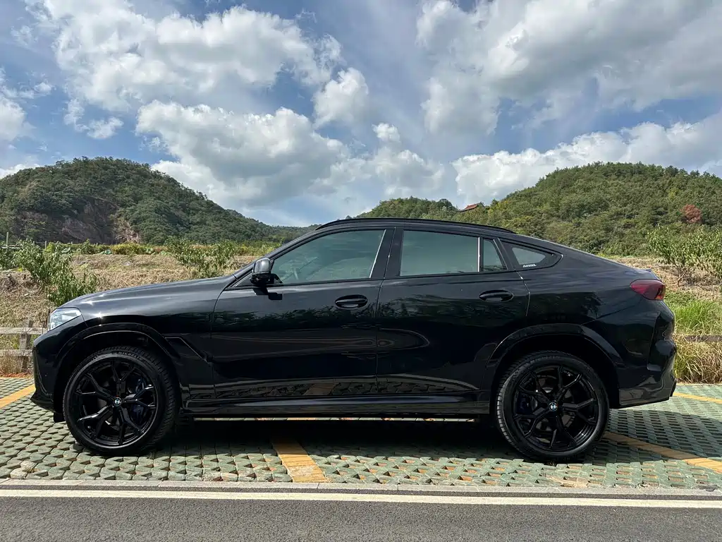 BMW X6 — миниатюра 4