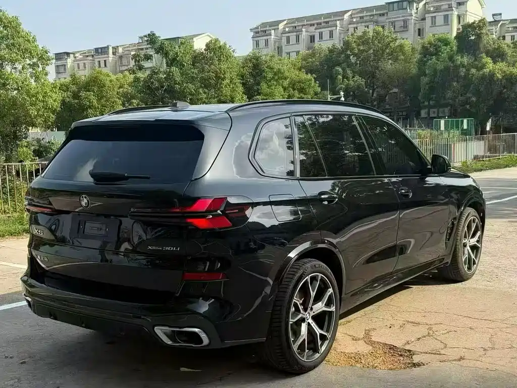 BMW X5 — миниатюра 9