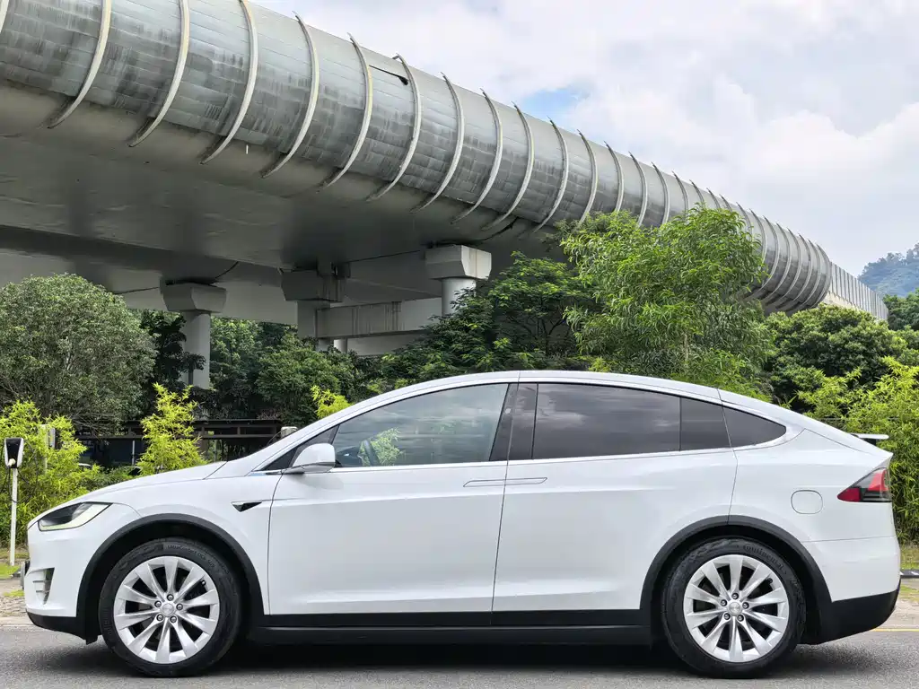 Tesla Model X — миниатюра 4