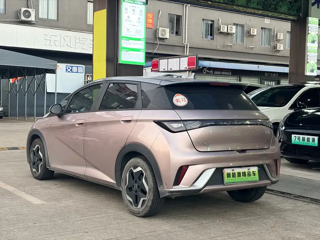 BYD Dolphin — миниатюра 4