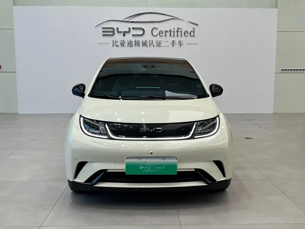 BYD Dolphin — миниатюра 2