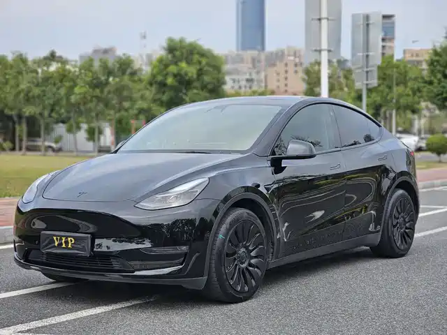 TESLA MODEL Y 2021