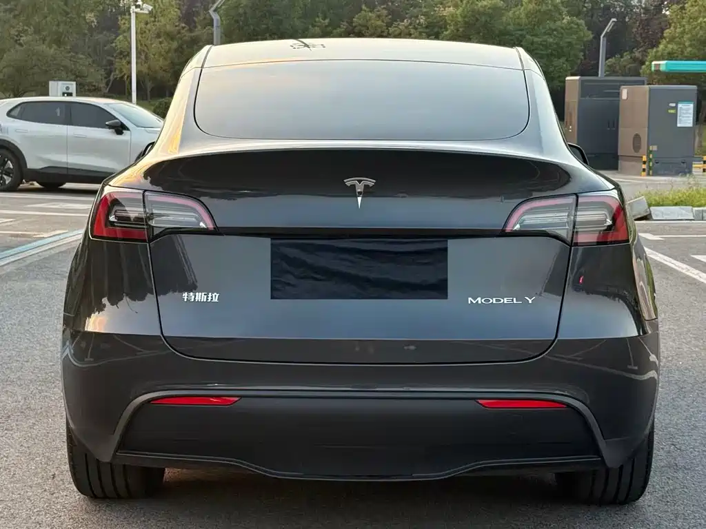 Tesla Model Y — миниатюра 5