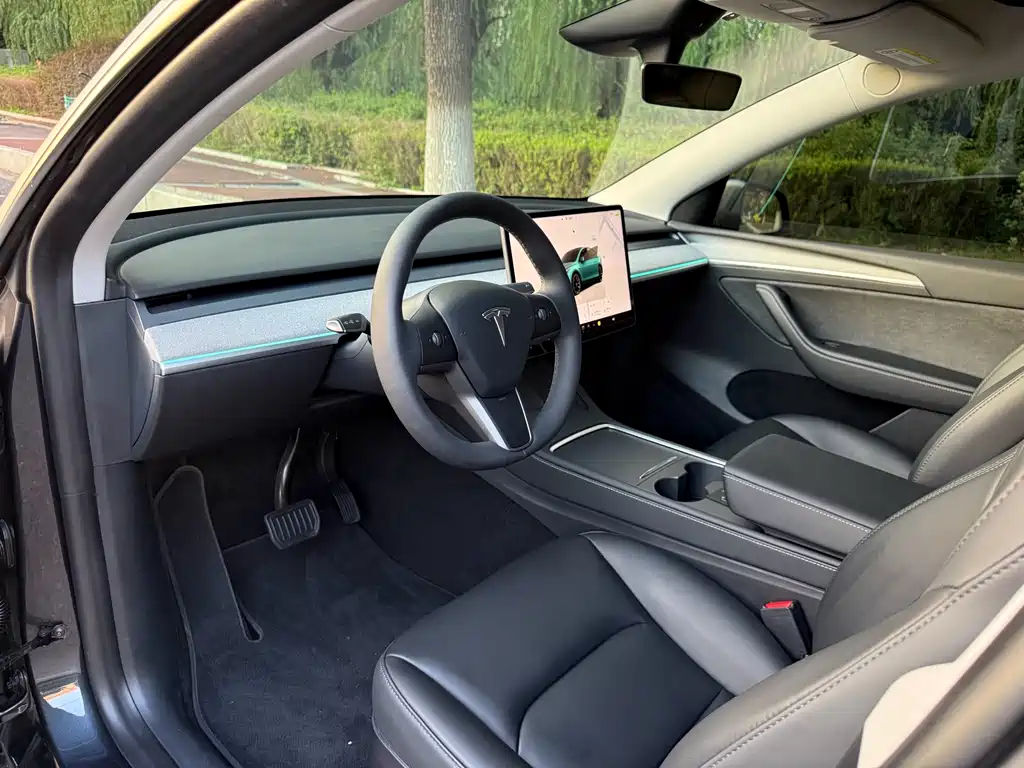 Tesla Model Y — миниатюра 10