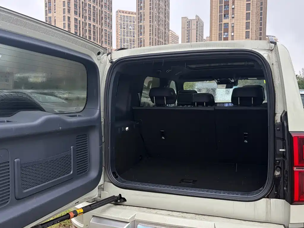 Fang Cheng Bao Leopard 5 — миниатюра 14