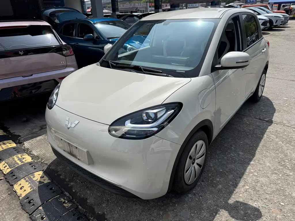 Wuling Bingo 2024