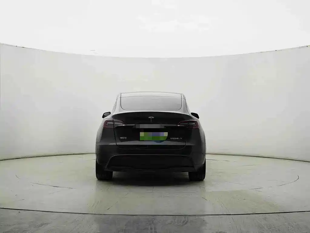 Tesla Model Y — миниатюра 9