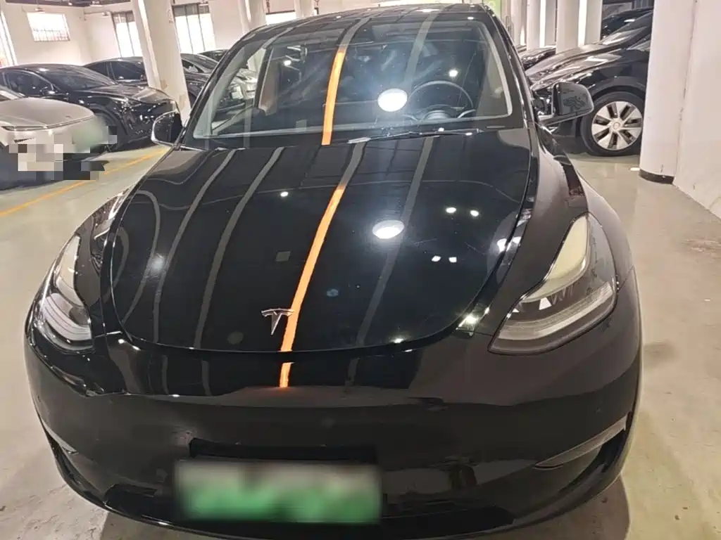 Tesla Model Y — миниатюра 3