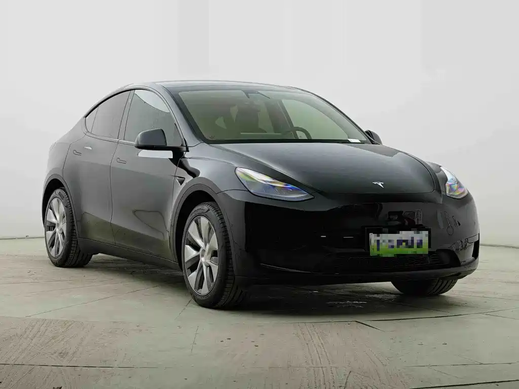 Tesla Model Y — миниатюра 2