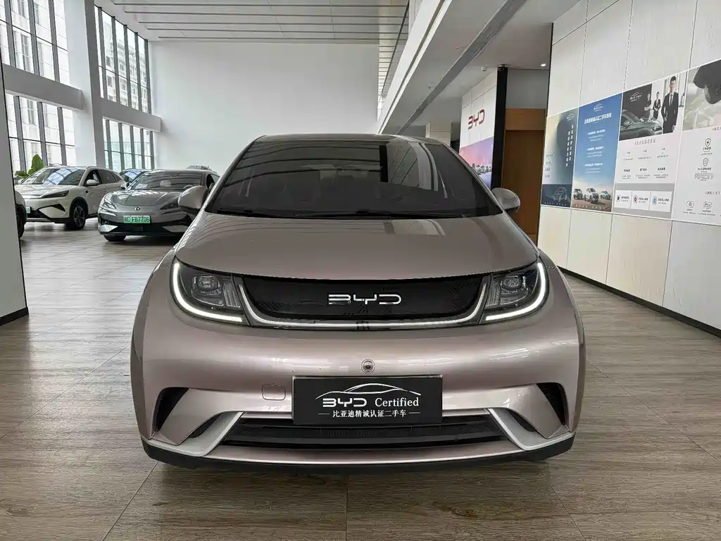 BYD Dolphin — миниатюра 2