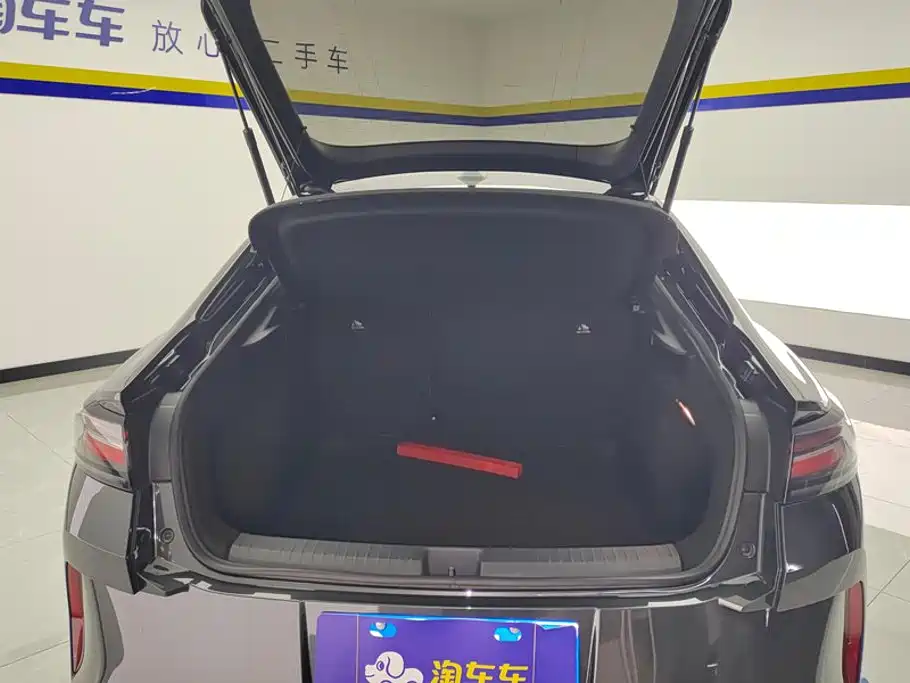 Volkswagen Lamando — миниатюра 4