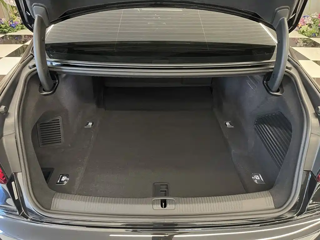 Audi A8 — миниатюра 28