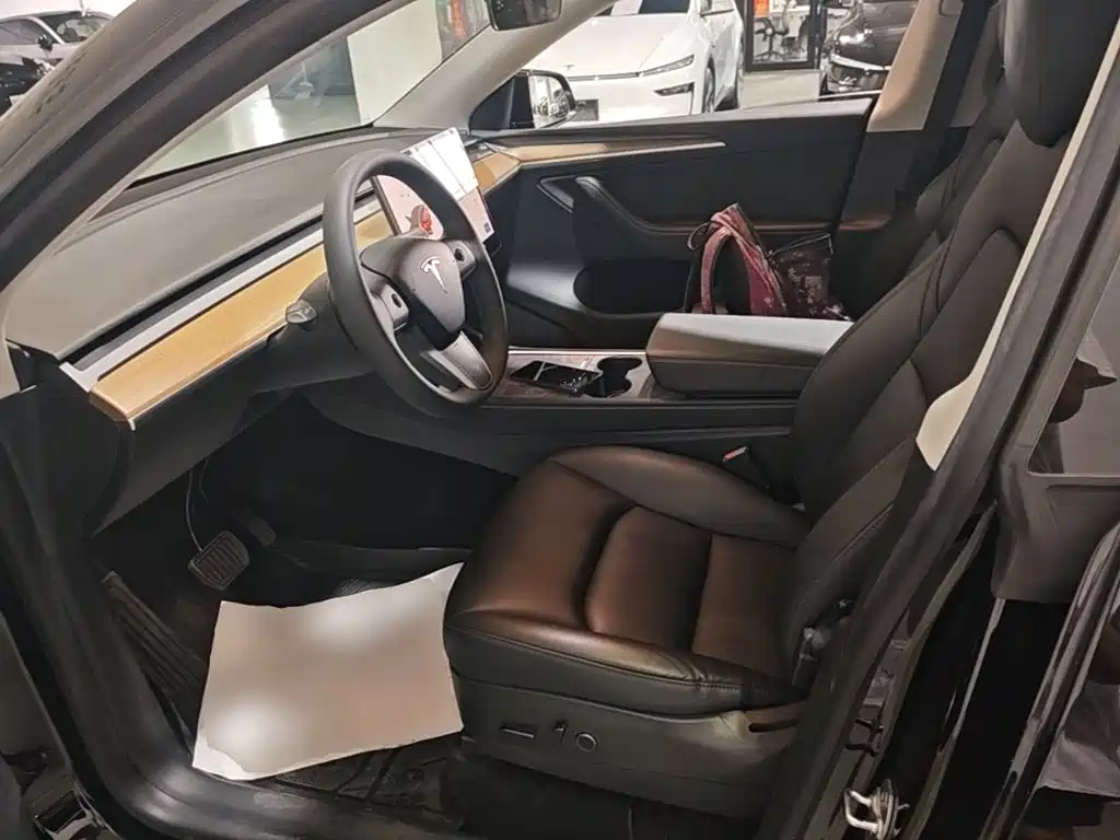 Tesla Model Y — миниатюра 15