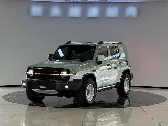 2022 TANK 300