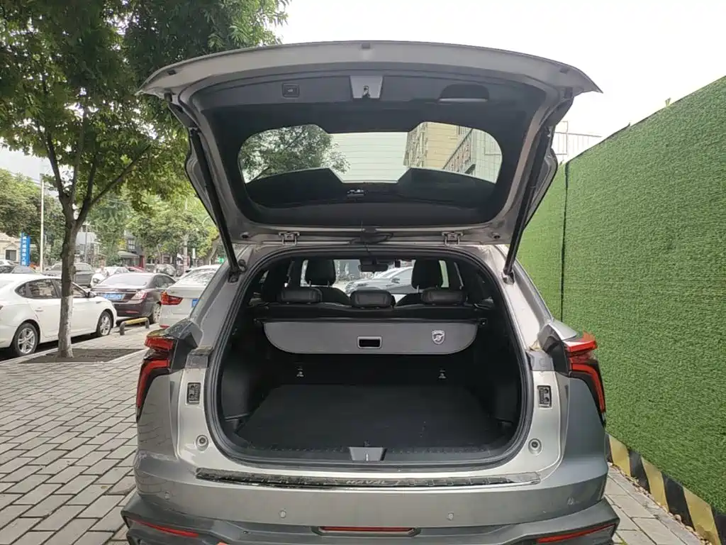 Haval Shenshou — миниатюра 19