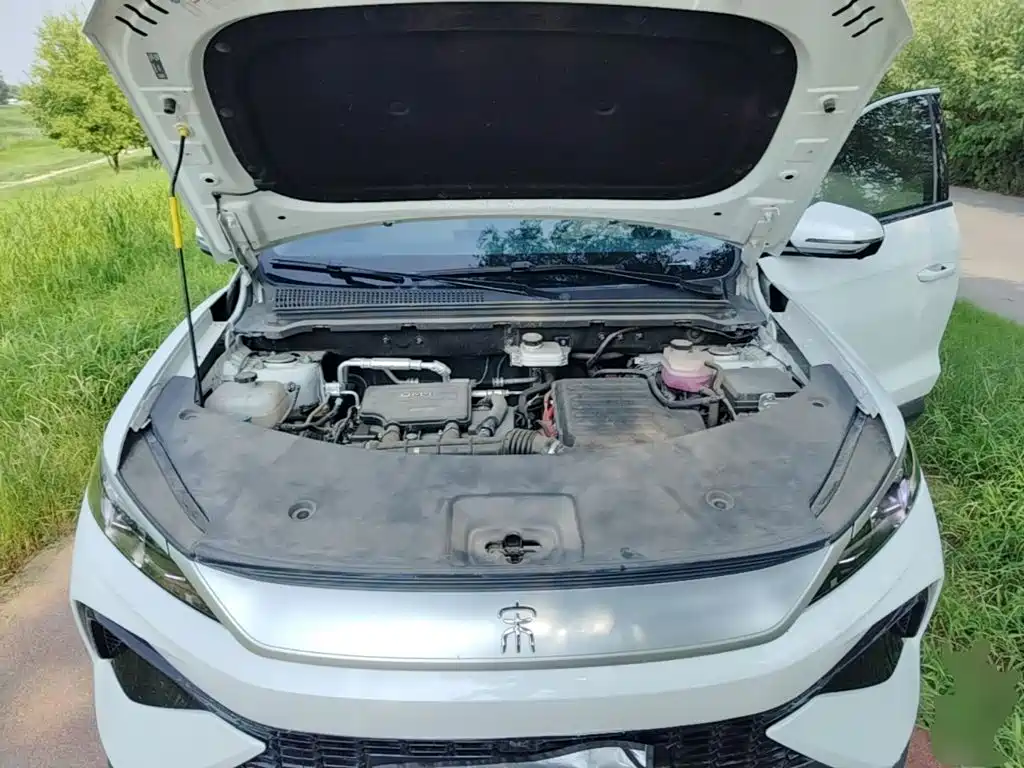 BYD Pro New Energy — миниатюра 20
