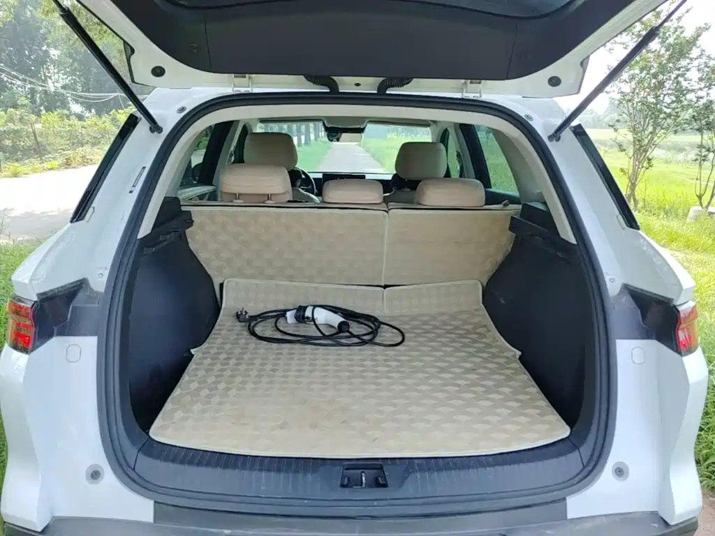 BYD Pro New Energy — миниатюра 19