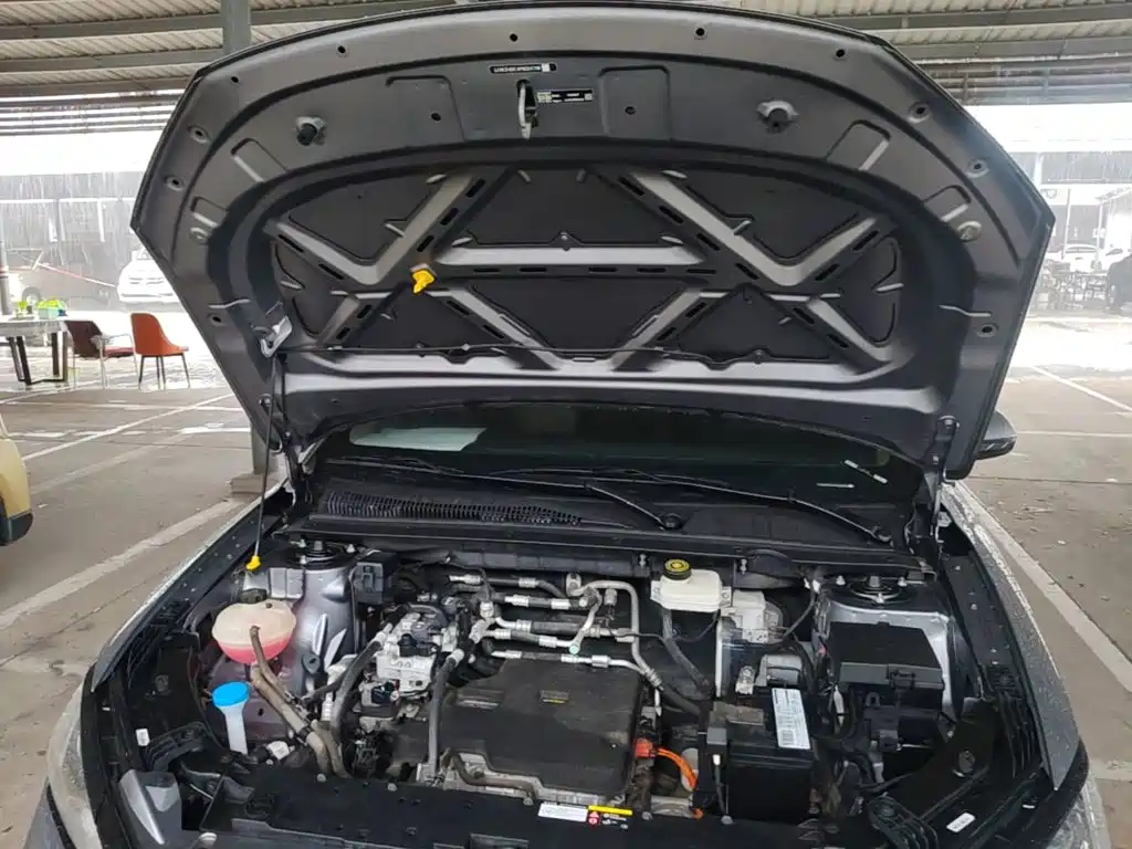 BYD e2 — миниатюра 20
