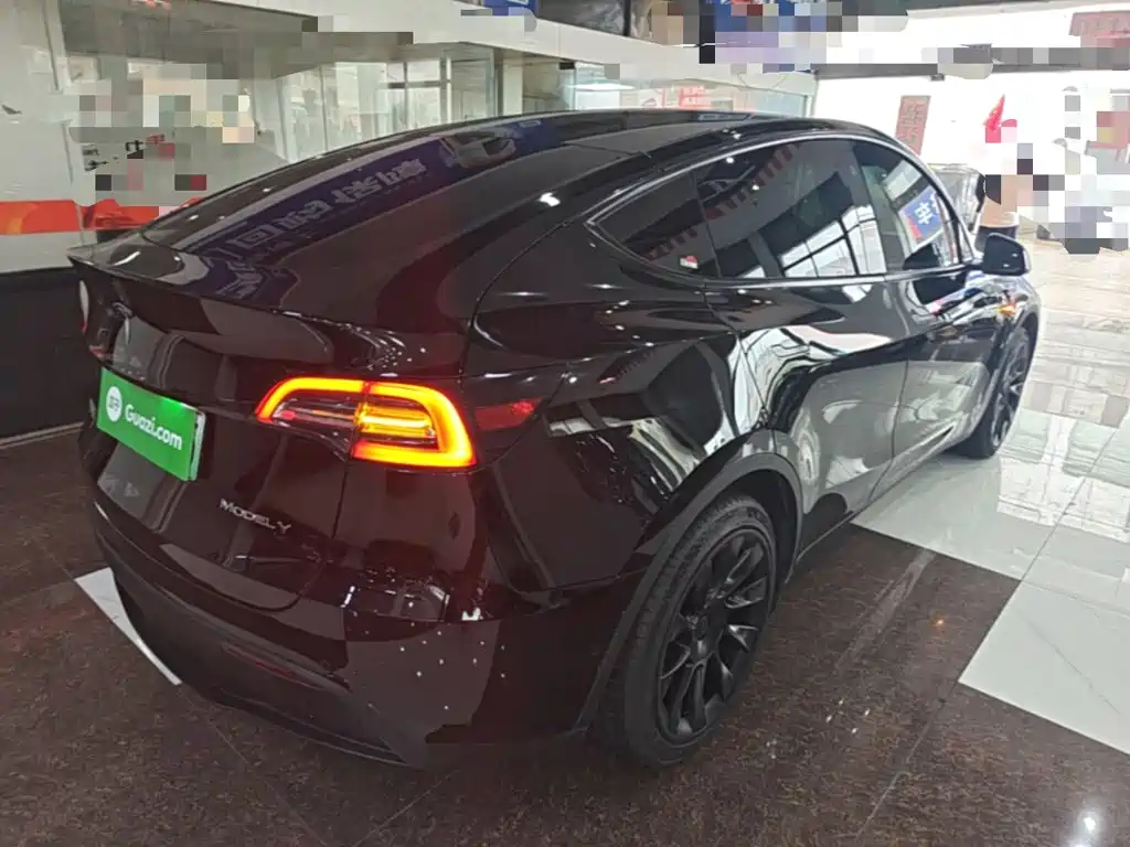 Tesla Model Y — миниатюра 7