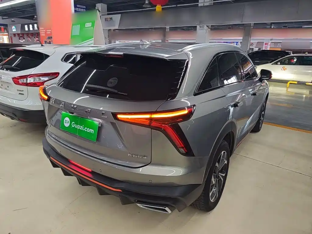 Haval Shenshou — миниатюра 7