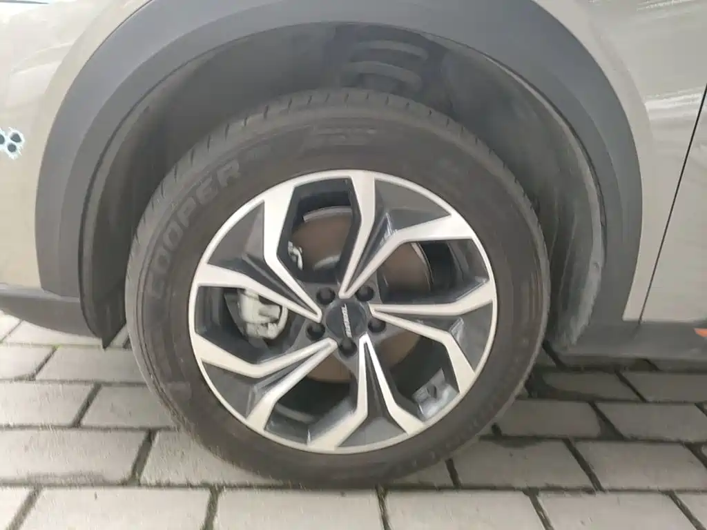 Haval Shenshou — миниатюра 23