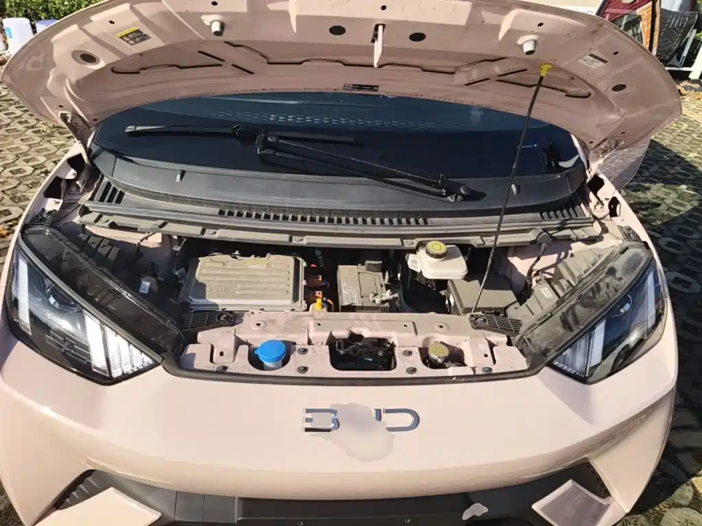BYD Seagull — миниатюра 20