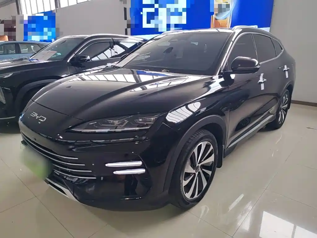 BYD PLUS New Energy — миниатюра 2