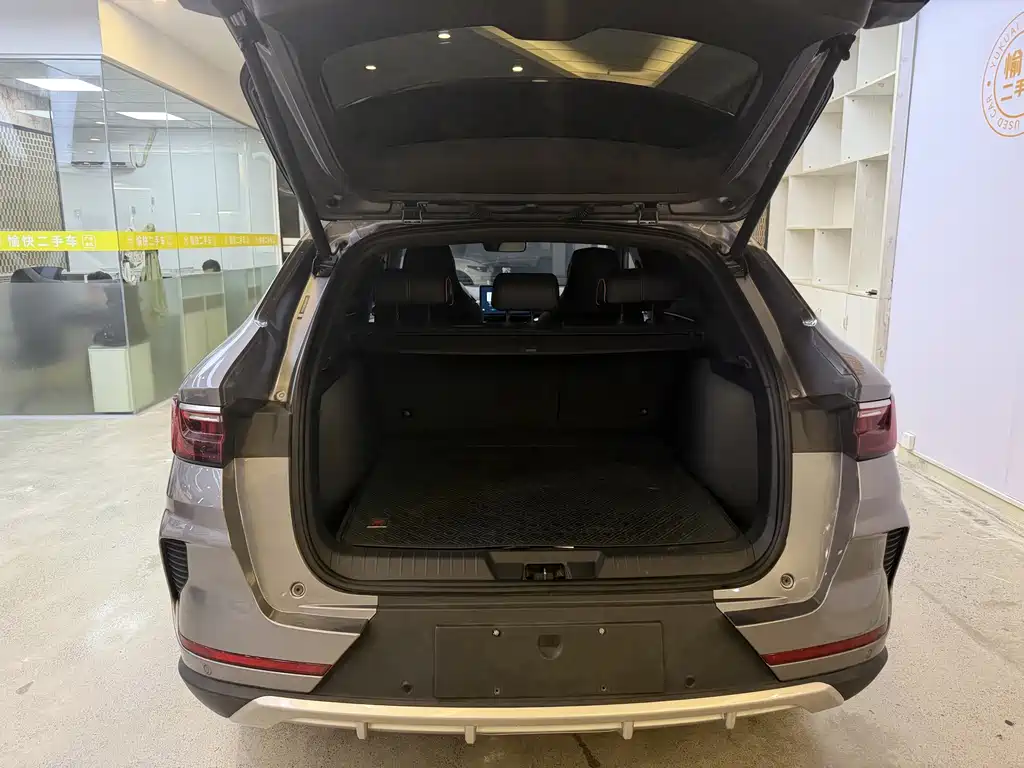 BYD PLUS New Energy — миниатюра 8
