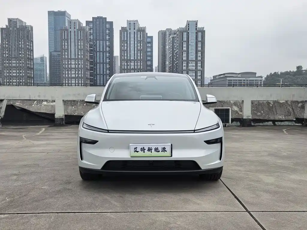Tesla Model Y — миниатюра 3