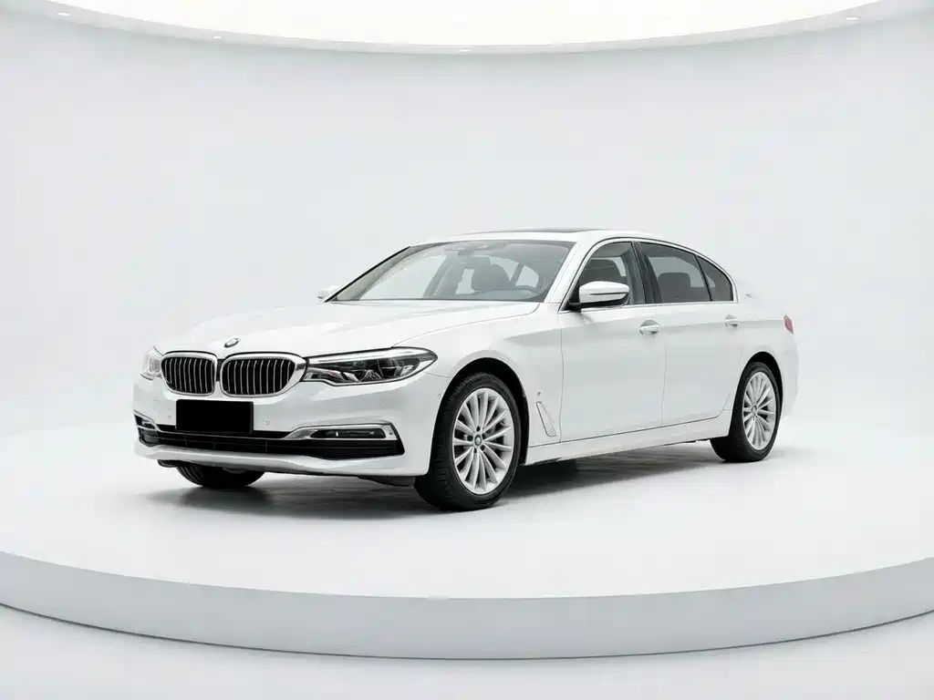 BMW 5 Series New Energy 2019
