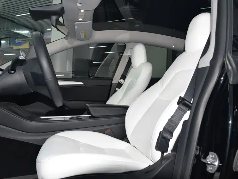 Tesla Model Y — миниатюра 8