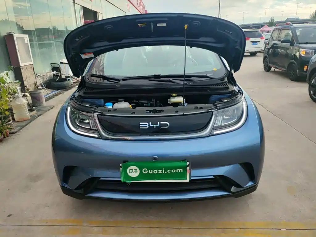 BYD Dolphin — миниатюра 20