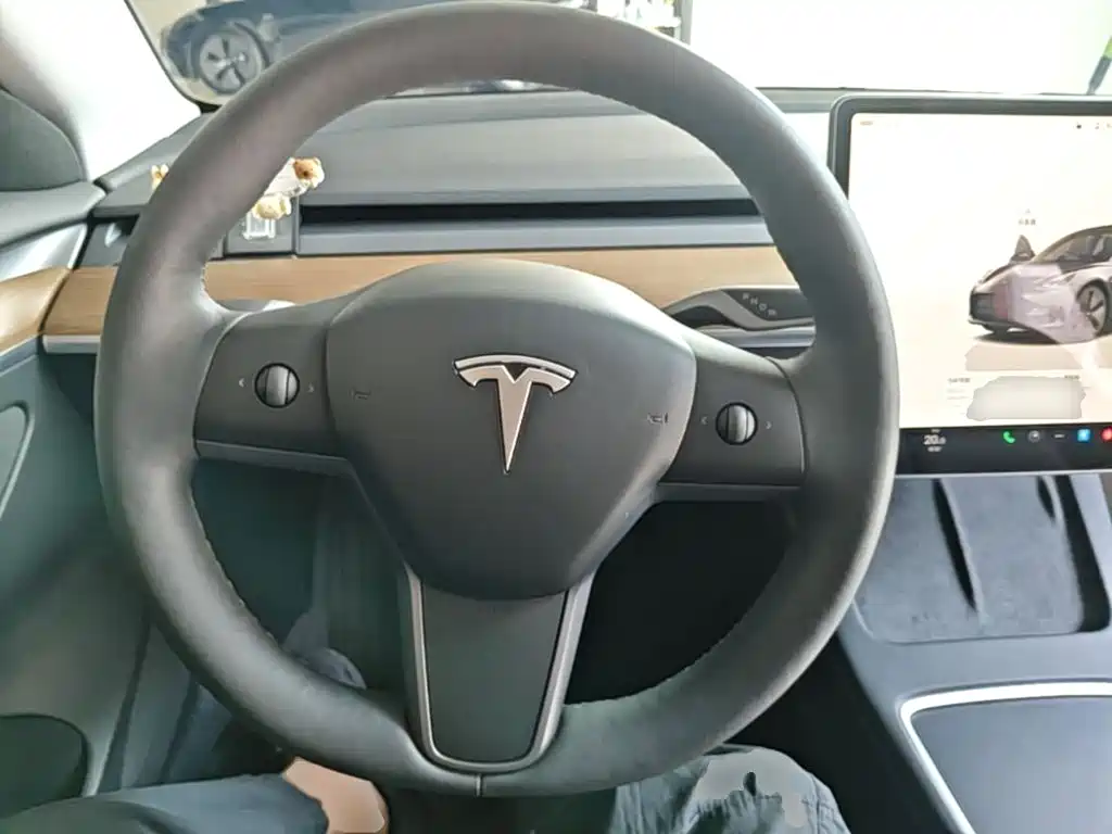 Tesla Model 3 — миниатюра 11