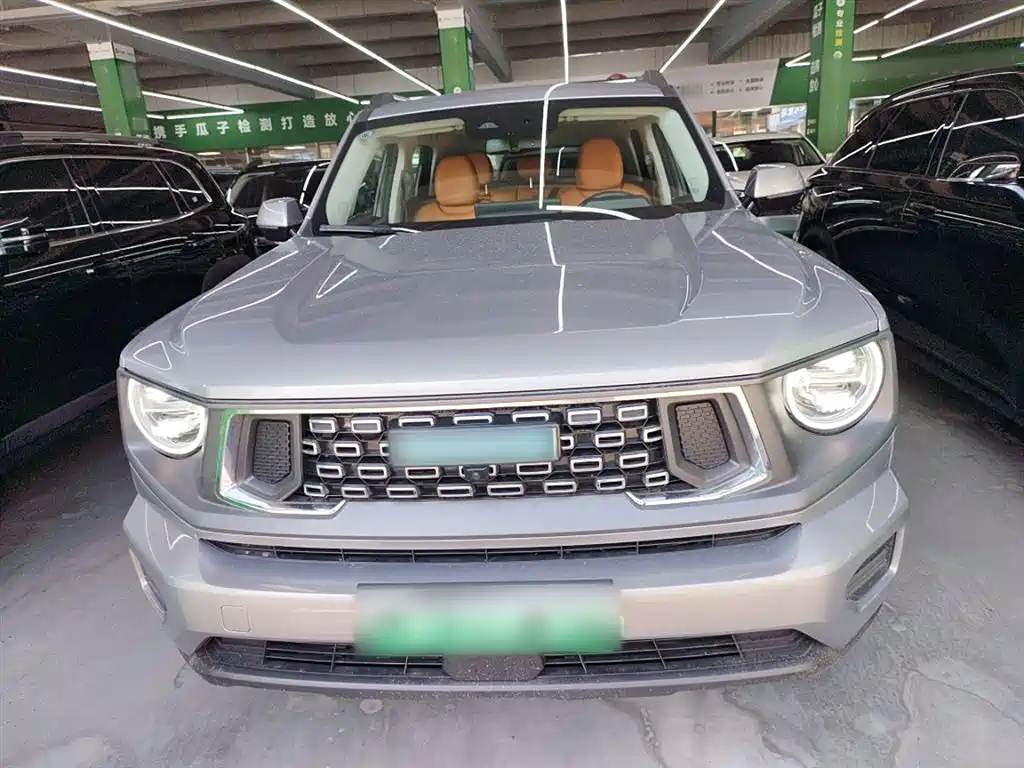 HAVAL SECOND GENERATION BIG DOG NEW ENERGY