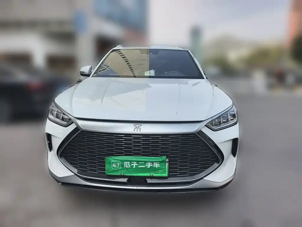 BYD PLUS New Energy — миниатюра 2