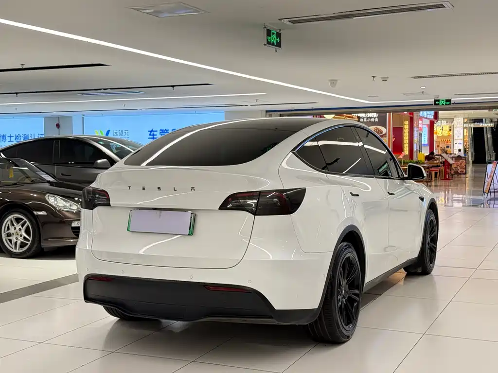Tesla Model Y — миниатюра 7