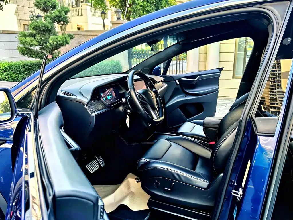 Tesla Model X — миниатюра 11